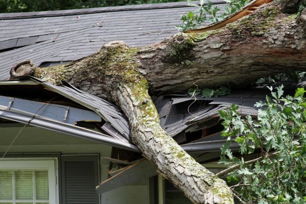 Cost of Storm Remediation in Garland