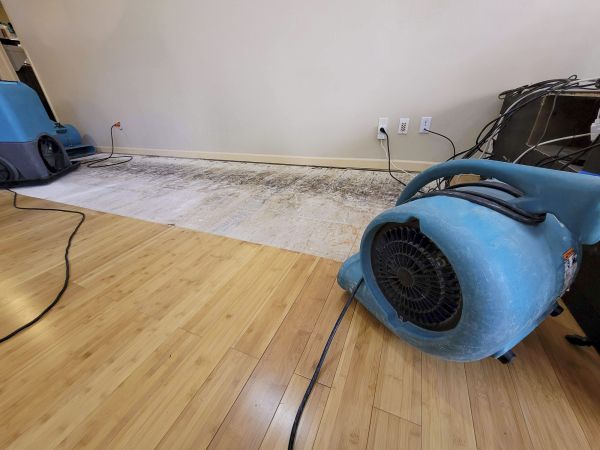Cost of Water Damage Mitigation in Garland