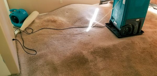Cost of Flood Damage Cleanup in Garland