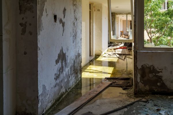 Cost of Water Removal Service in Garland