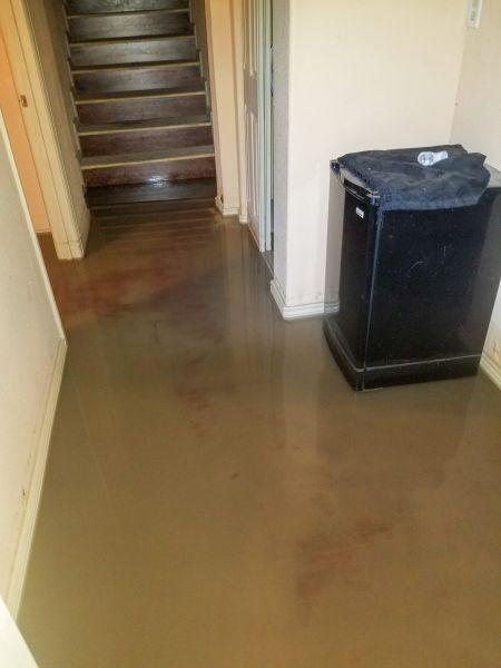 Cost of Emergency Water Removal in Garland