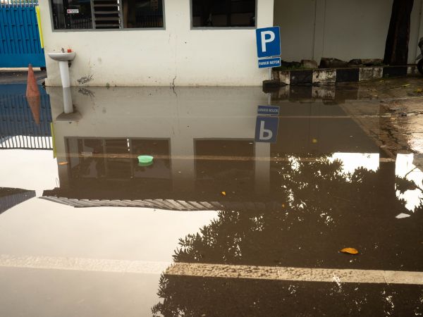 Cost of Storm Damage Repair in Garland