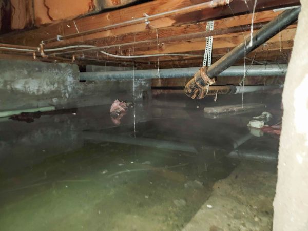Cost of Crawl Space Drying in Garland