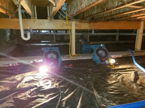 Cost of Crawlspace Water Removal in Garland